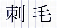 刺毛