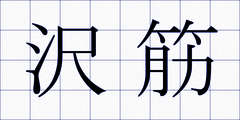 沢筋