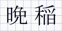 晩稲