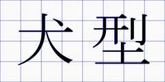犬型