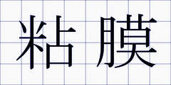粘膜
