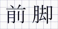 前脚