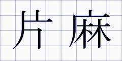 片麻