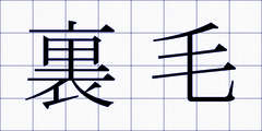 裏毛