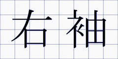 右袖