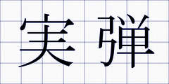実弾