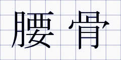 腰骨
