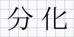 分化