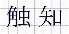 触知