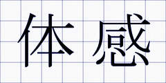 体感
