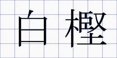 白樫