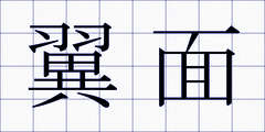 翼面