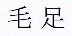毛足