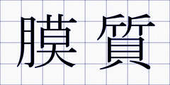 膜質