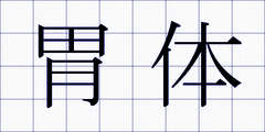 胃体