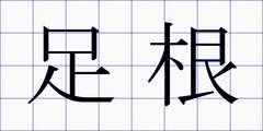 足根