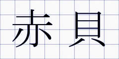 赤貝