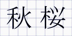 秋桜