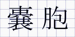 嚢胞