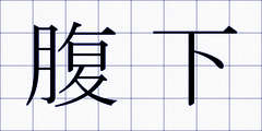 腹下