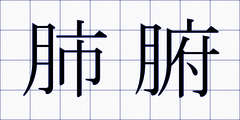 肺腑