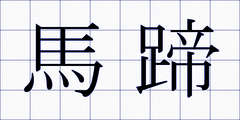 馬蹄