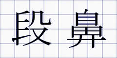 段鼻