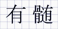 有髄