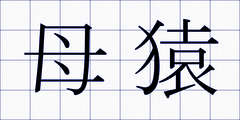 母猿