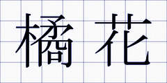 橘花