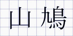 山鳩