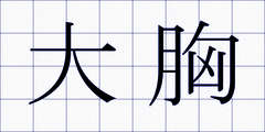 大胸