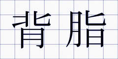 背脂
