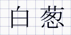 白葱