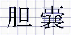 胆嚢