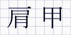 肩甲