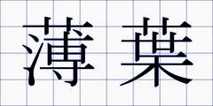 薄葉