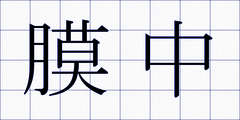 膜中