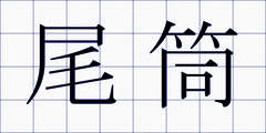 尾筒