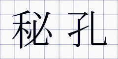 秘孔