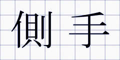側手