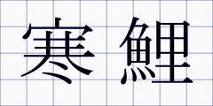 寒鯉