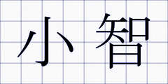 小智