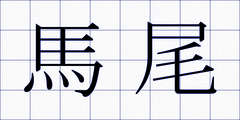 馬尾