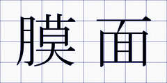 膜面