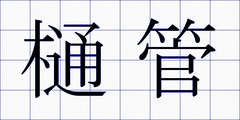 樋管