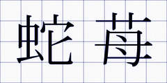 蛇苺