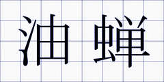 油蝉