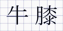 牛膝