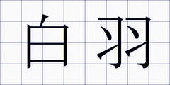白羽